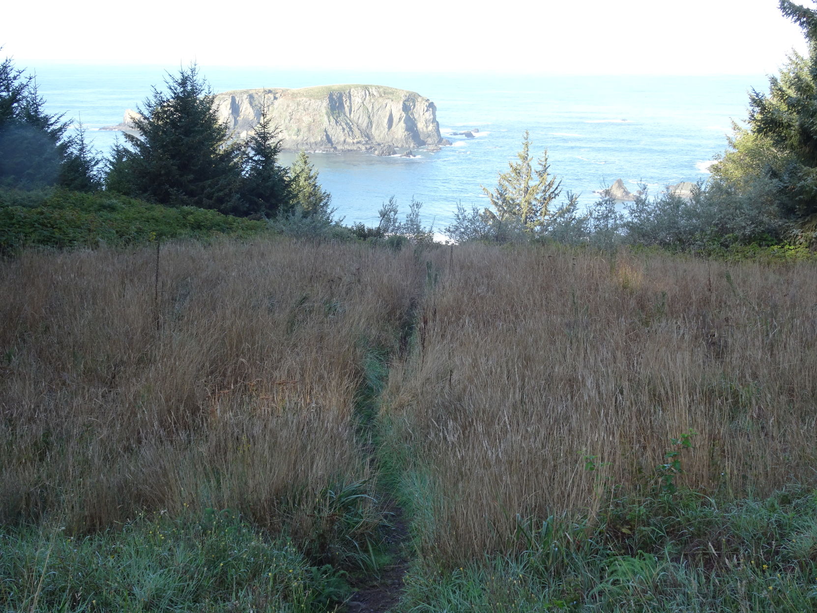 Inviting Trek